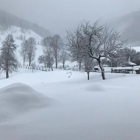 Bio Schartenhof Sankt Johann im Pongau Exterior photo