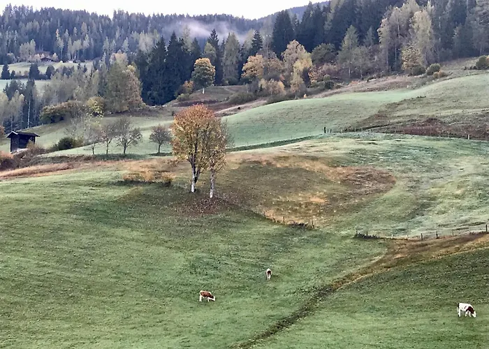 Bio Schartenhof
