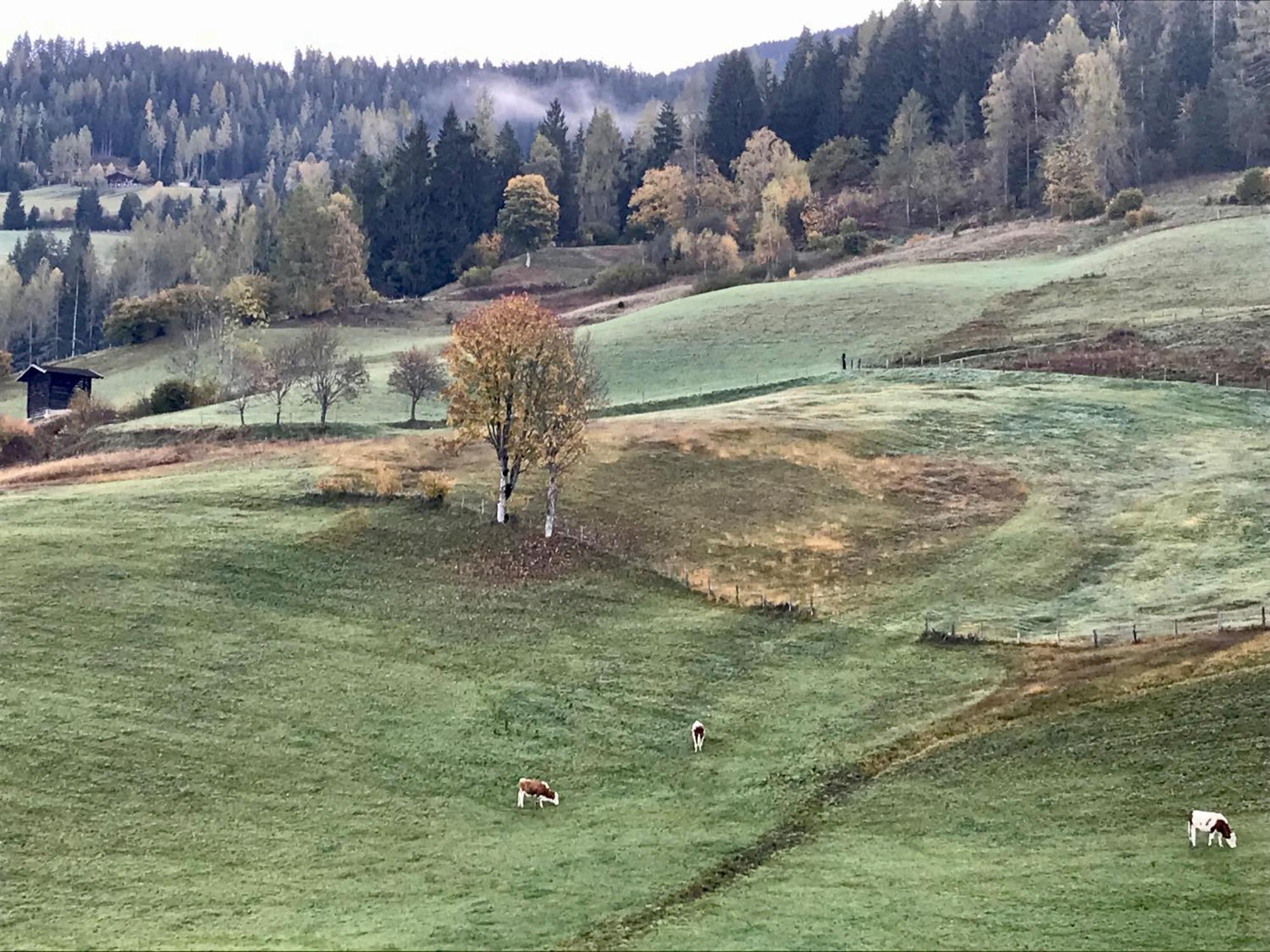 Apartment Bio Schartenhof Sankt Johann im Pongau