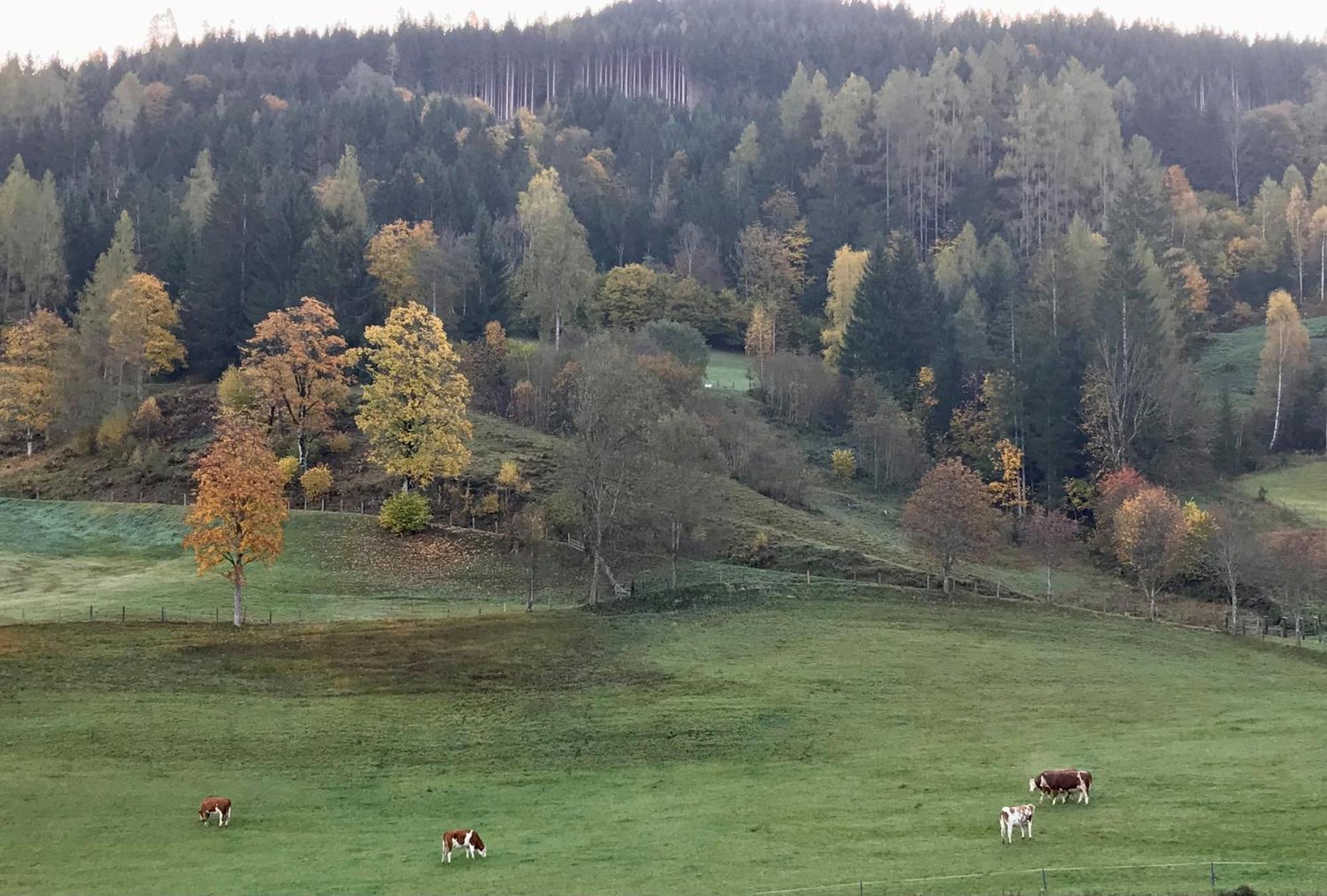 Bio Schartenhof