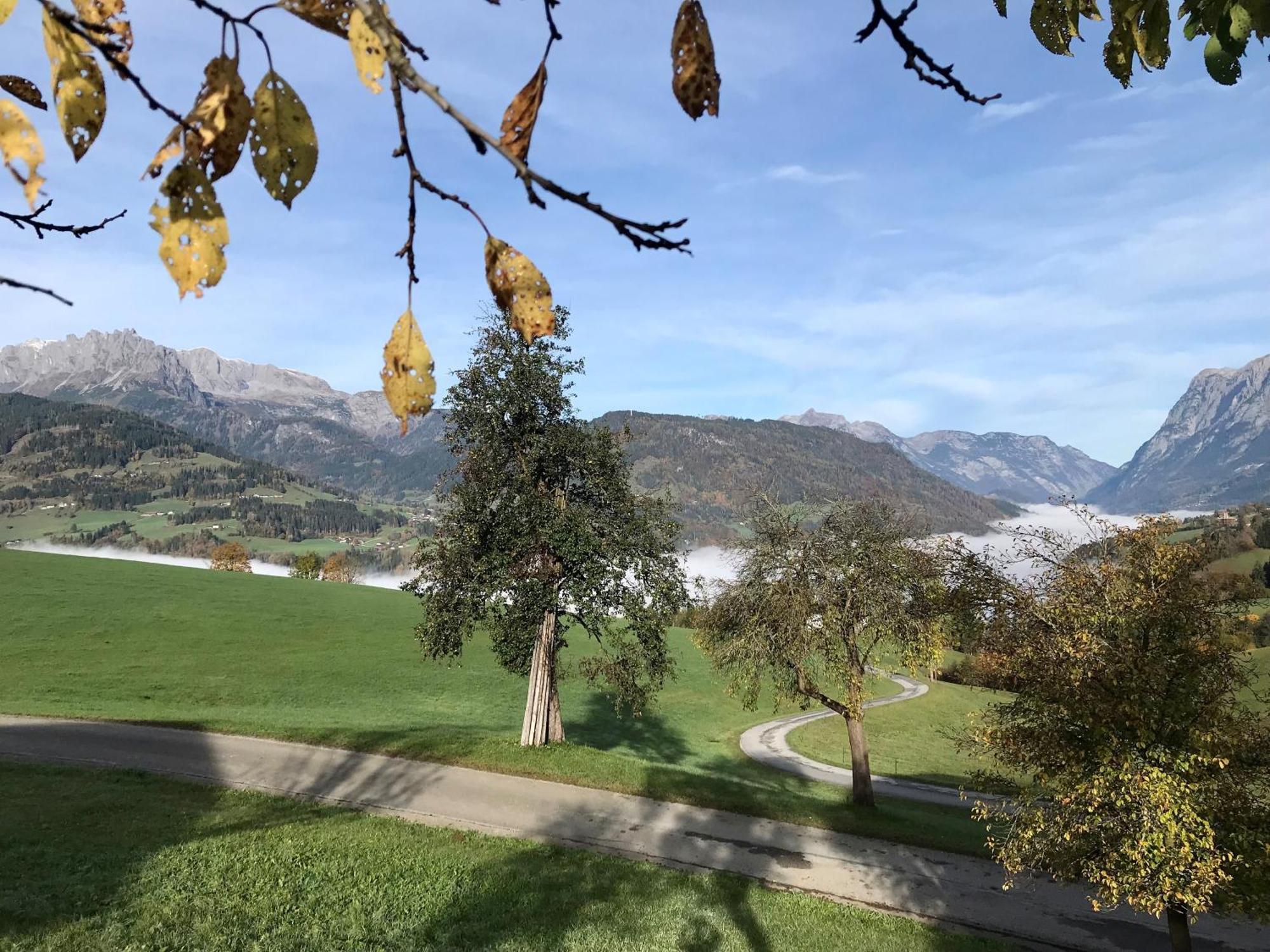 Bio Schartenhof
